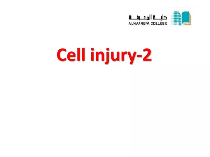 cell injury 2