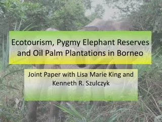 Ecotourism, Pygmy Elephant Reserves and Oil Palm Plantations in Borneo