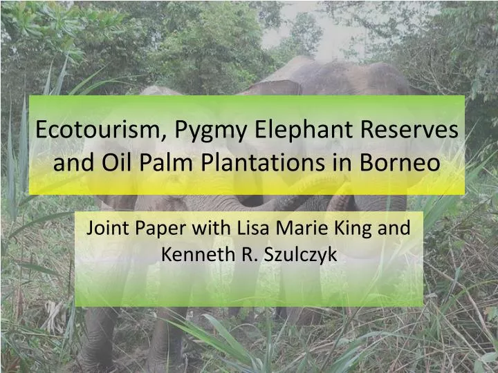 ecotourism pygmy elephant reserves and oil palm plantations in borneo