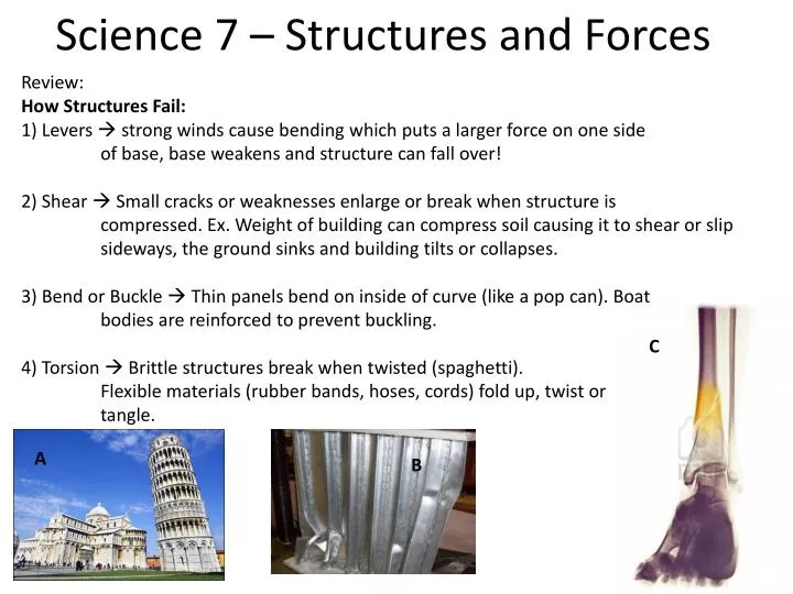 science 7 structures and forces