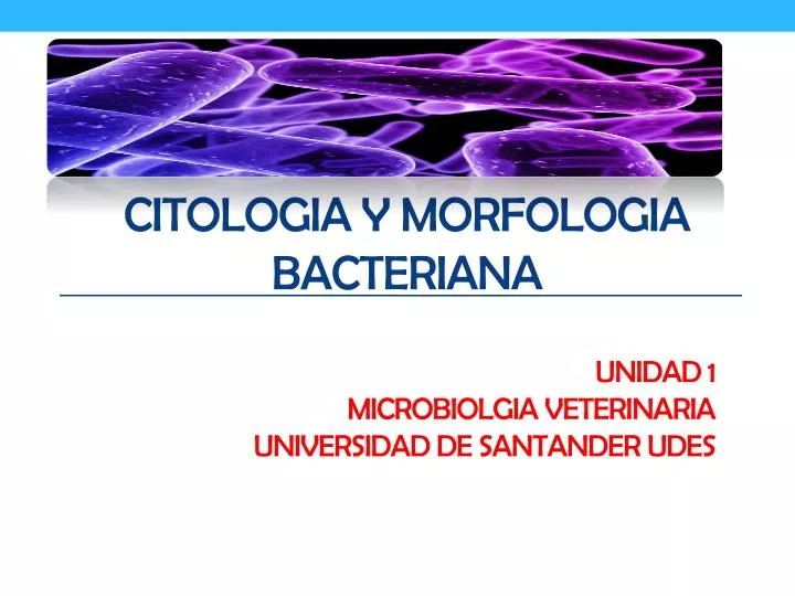 citologia y morfologia bacteriana