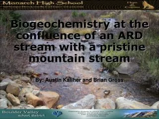 Biogeochemistry at the confluence of an ARD stream with a pristine mountain stream
