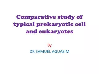 Comparative study of typical prokaryotic cell and eukaryotes
