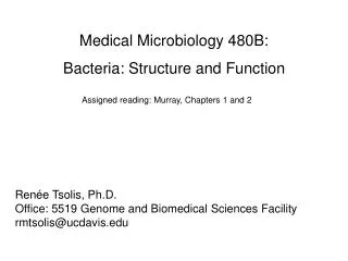 Medical Microbiology 480B: Bacteria: Structure and Function