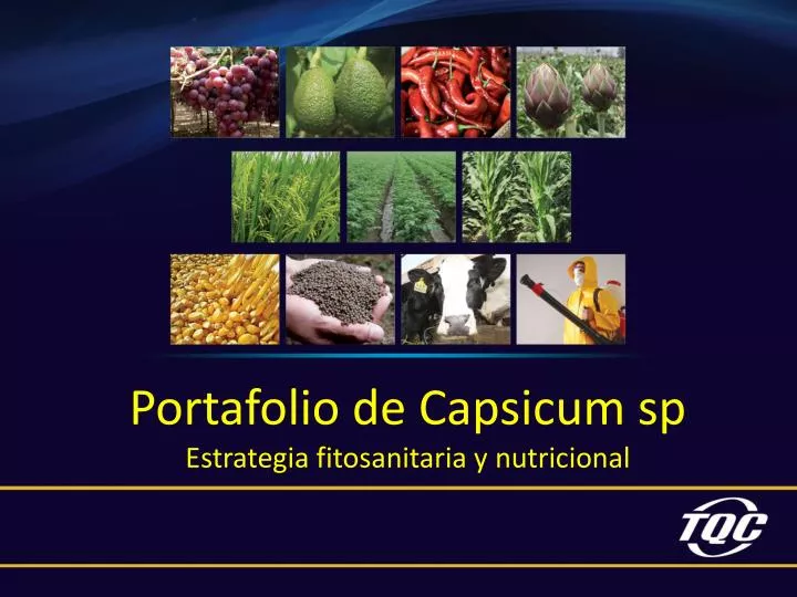 portafolio de capsicum sp estrategia fitosanitaria y nutricional