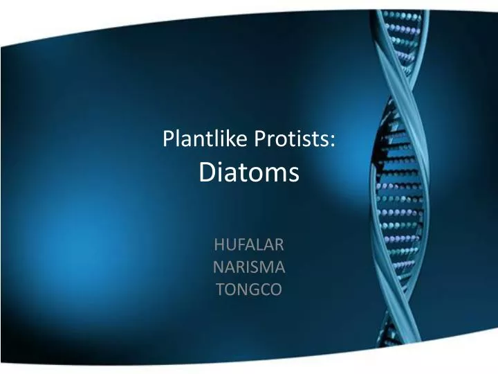 plantlike protists diatoms