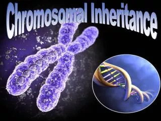 Chromosomal Inheritance