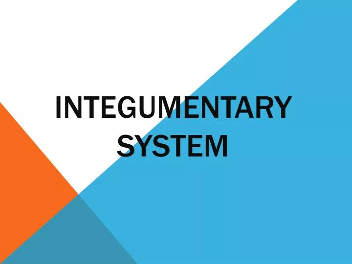 integumentary system