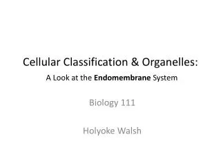 Cellular Classification &amp; Organelles: A Look at the Endomembrane System