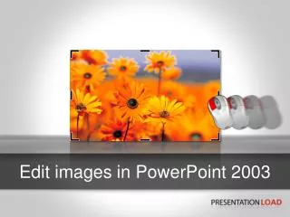 Edit images in PowerPoint 2003