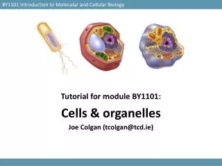 BY1101 Introduction to Molecular and Cellular Biology