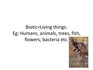 Biotic=Living things. Eg : Humans, animals, trees, fish, flowers, bacteria etc.