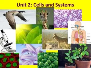 Unit 2: Cells and Systems
