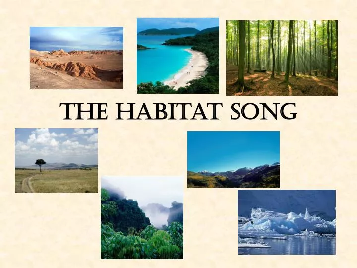 the habitat song