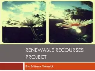 Renewable Recourses Project