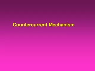 Countercurrent M echanism