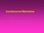 Countercurrent M echanism - slide 1