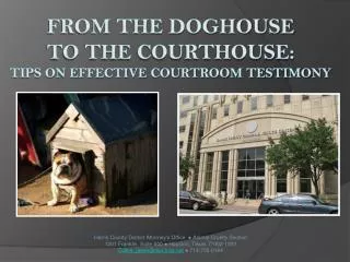 From the Doghouse to the Courthouse: Tips on Effective Courtroom Testimony