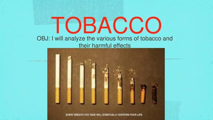 tobacco