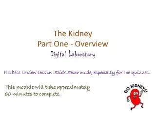 The Kidney Part One - Overview Digital Laboratory