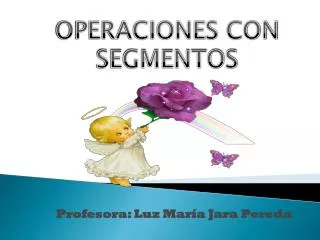profesora luz mar a jara pereda