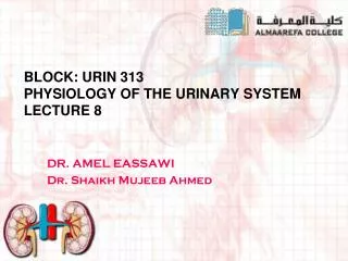 Block: URIN 313 Physiology of THE URINARY SYSTEM Lecture 8
