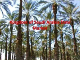 Kingdom of Saudi Arabia Date Market
