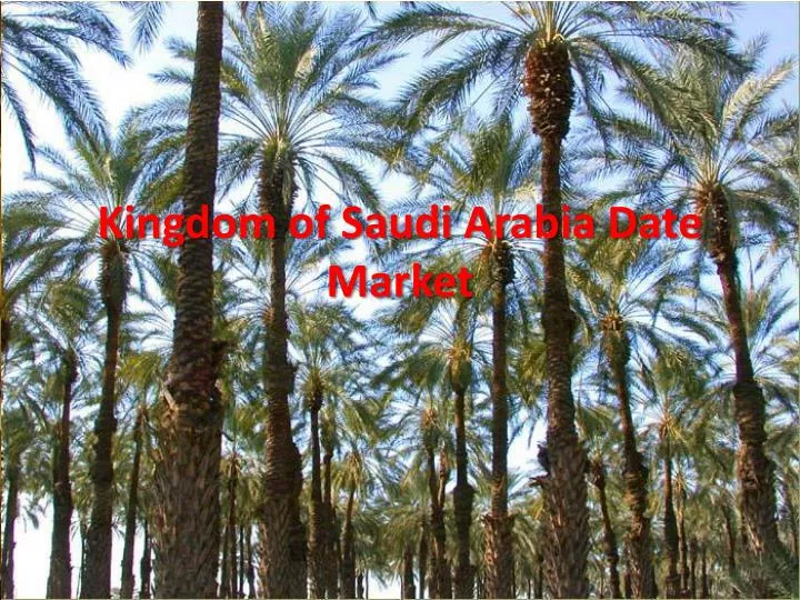 kingdom of saudi arabia date market