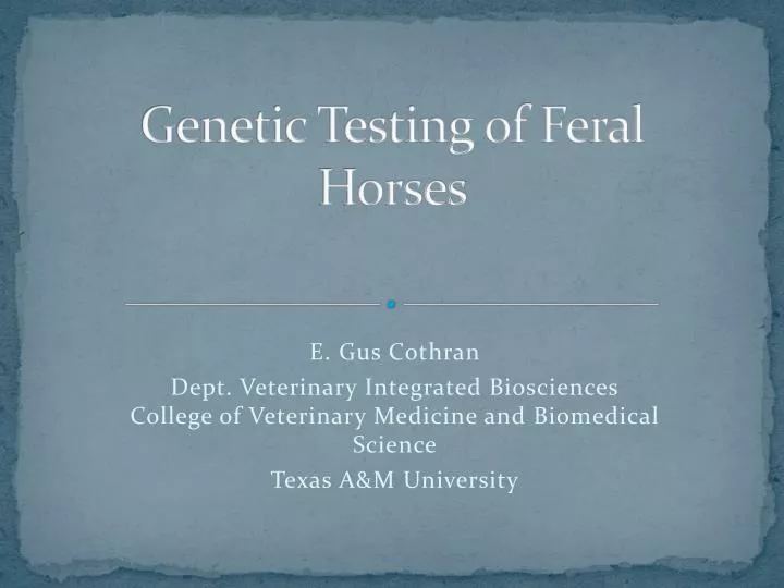 genetic testing of feral horses