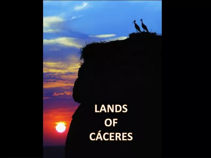 lands of c ceres