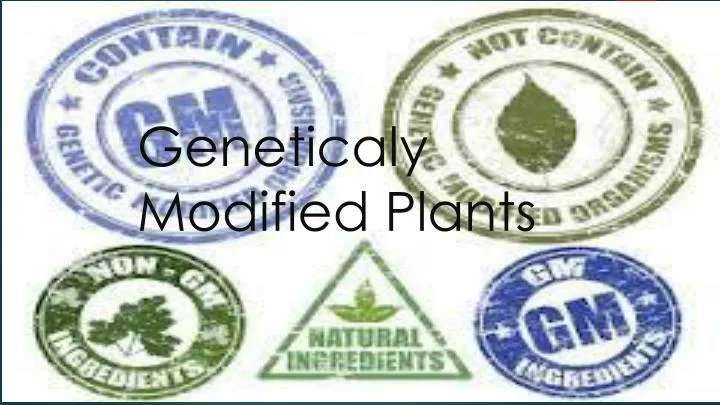 geneticaly m odified p lants