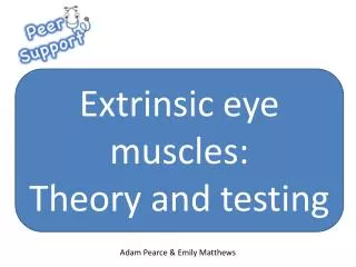 Extrinsic eye muscles: Theory and testing