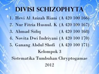 divisi schizophyta