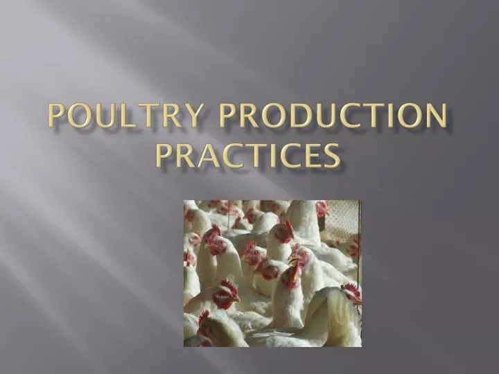 poultry production practices