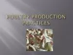 Poultry Production Practices - slide 1
