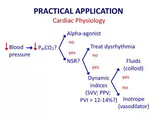 PRACTICAL APPLICATION Cardiac Physiology