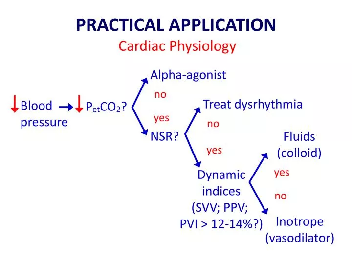 practical application cardiac physiology