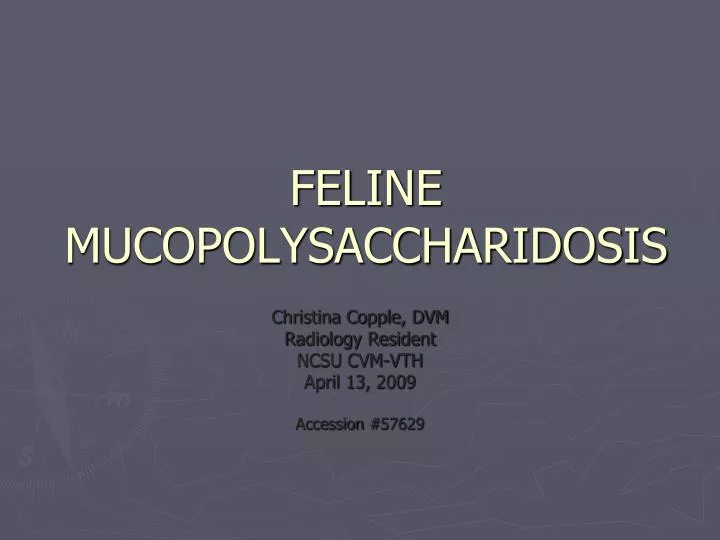 feline mucopolysaccharidosis