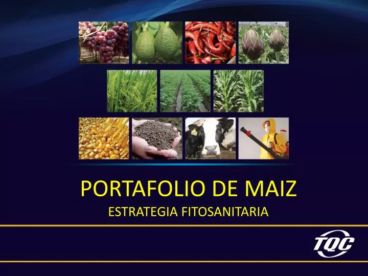 portafolio de maiz estrategia fitosanitaria