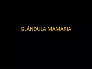 gl ndula mamaria