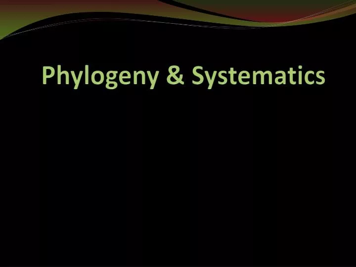 phylogeny systematics