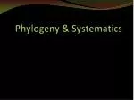 Phylogeny &amp; Systematics - slide 1