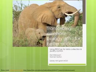 Transcribing elephant biology data for better access: