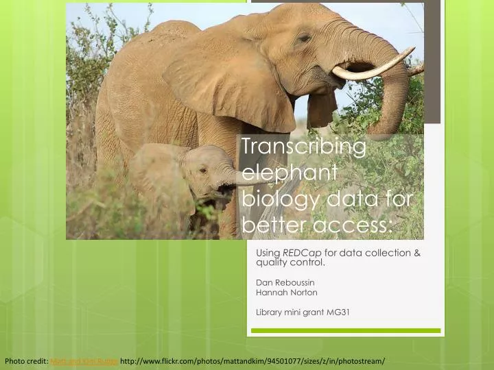 transcribing elephant biology data for better access