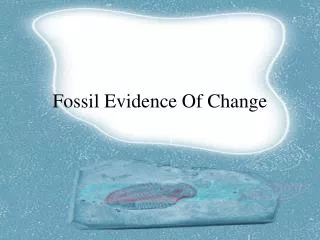 Fossil Evidence Of Change