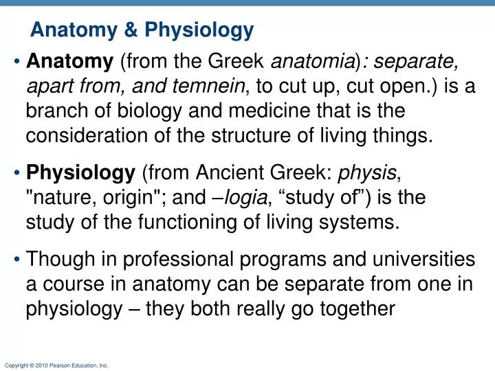 anatomy physiology