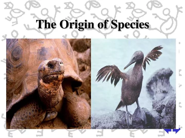 the origin of species