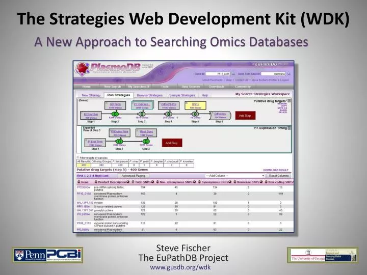 the strategies web development kit wdk
