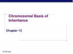Chromosomal Basis of Inheritance - slide 1