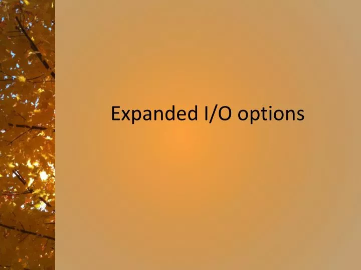 expanded i o options